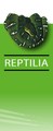 Reptilia